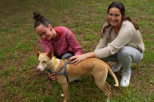 Iniciación a la Telepatía con Animales